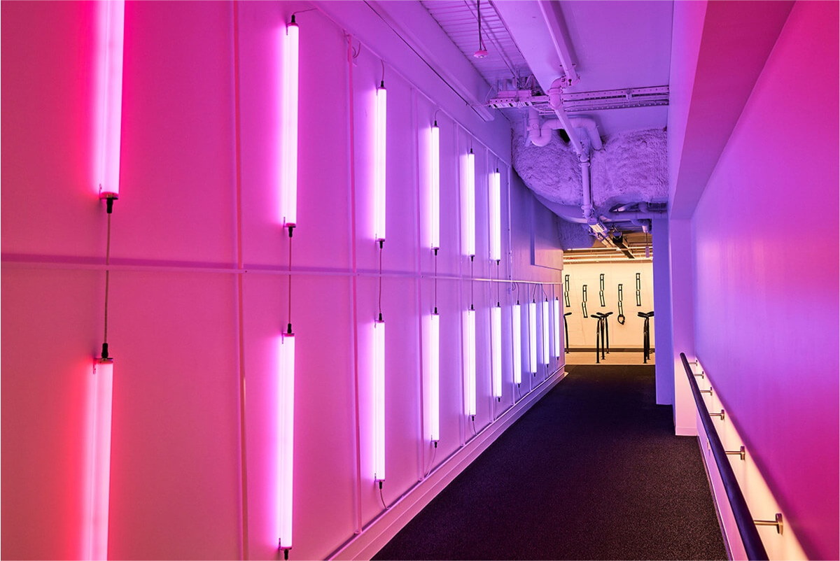 Lighting design is visually interesting, as well as being appropriate lux level OR natural light